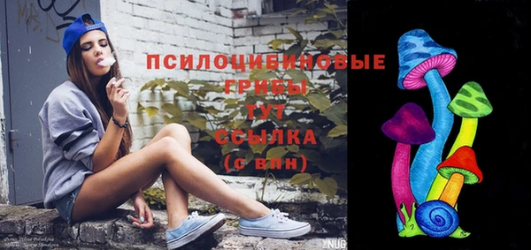 МДМА Бородино