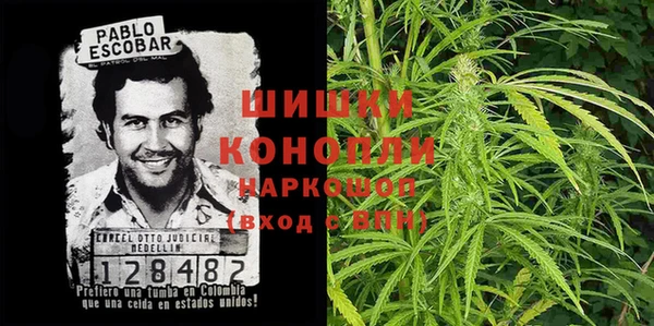 шишки Бронницы
