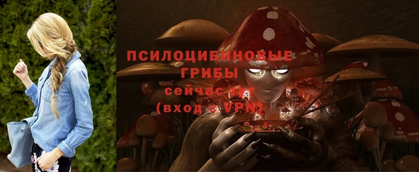 соль курить ск Бугульма