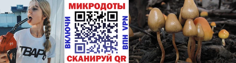 Галлюциногенные грибы Magic Shrooms  где продают наркотики  Снежинск 